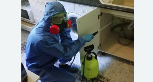 Уничтожение муравьев в квартире. Мураново