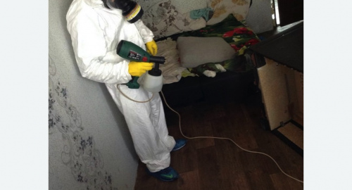 Обработка квартир от насекомых в Мураново