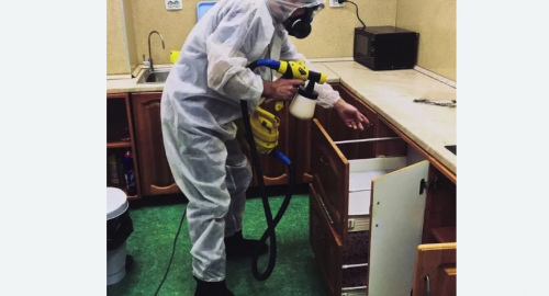 Дезинсекция квартиры. Мураново