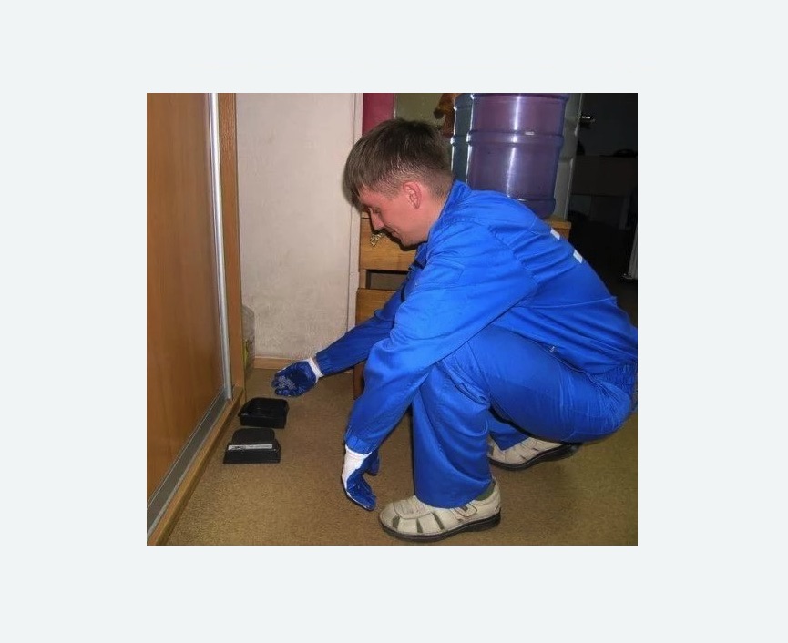 Дератизация крыс в Мураново