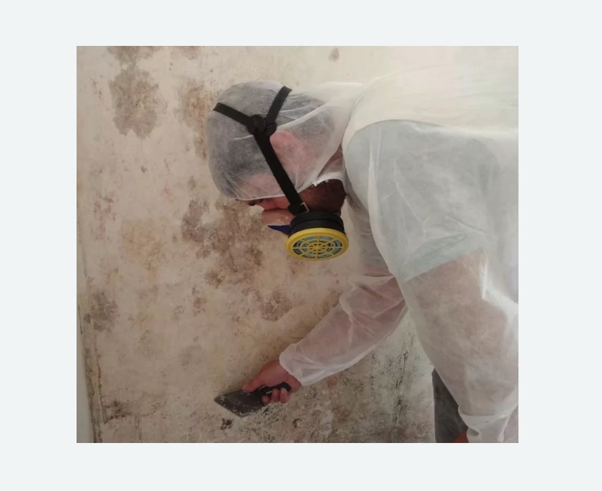 Обработка стен от плесени в Мураново