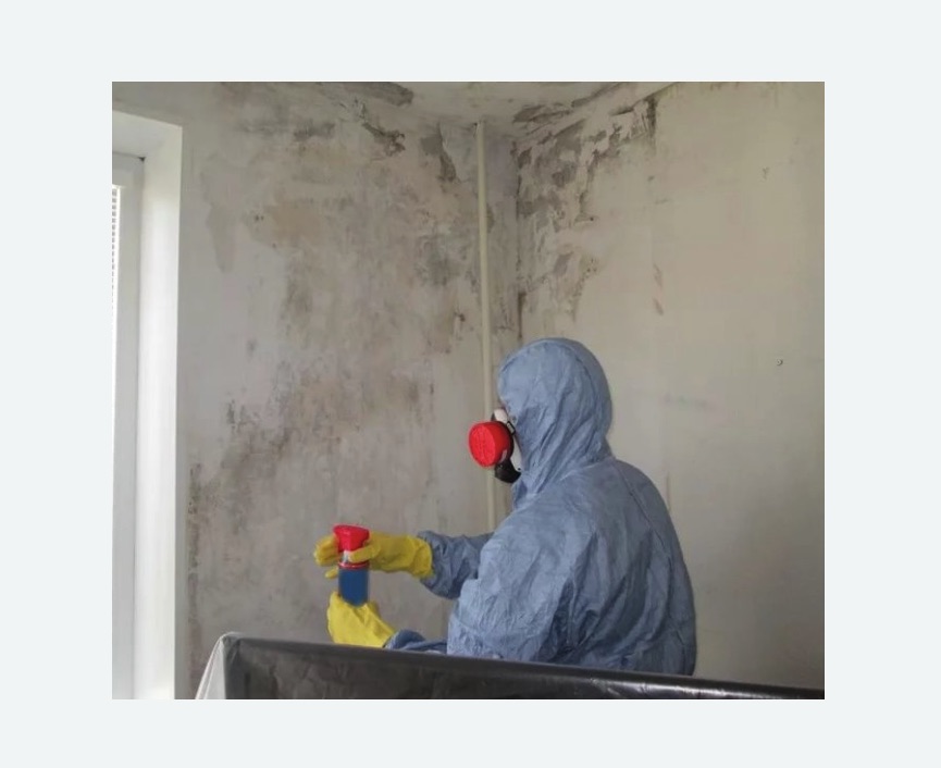 Удаление плесени в квартире в Мураново