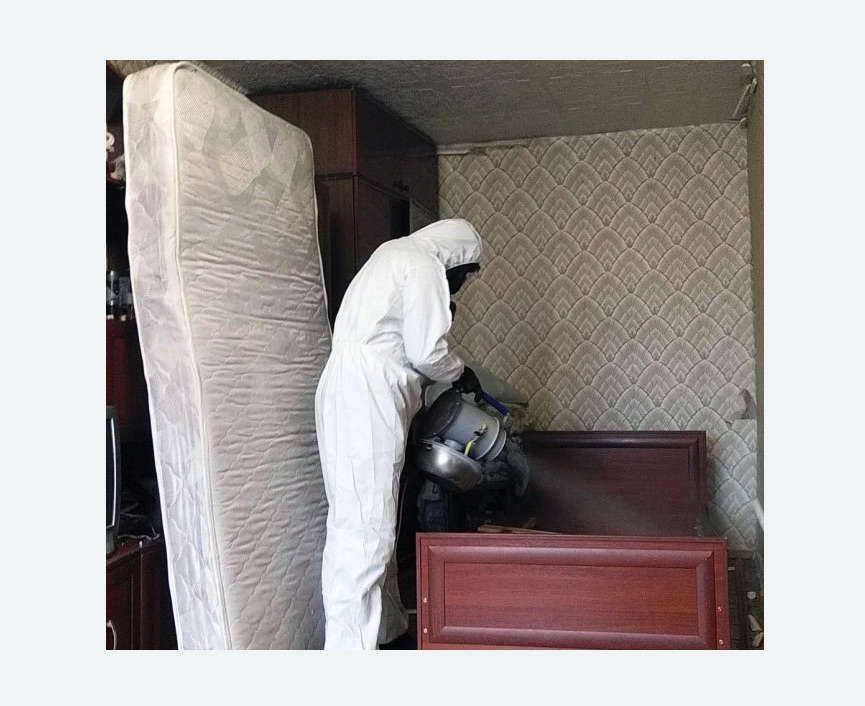 дезинфекция от клопов в Мураново