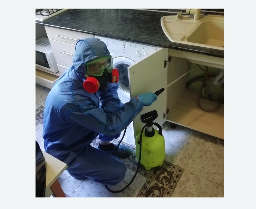 обработка от муравьев в квартире в Мураново