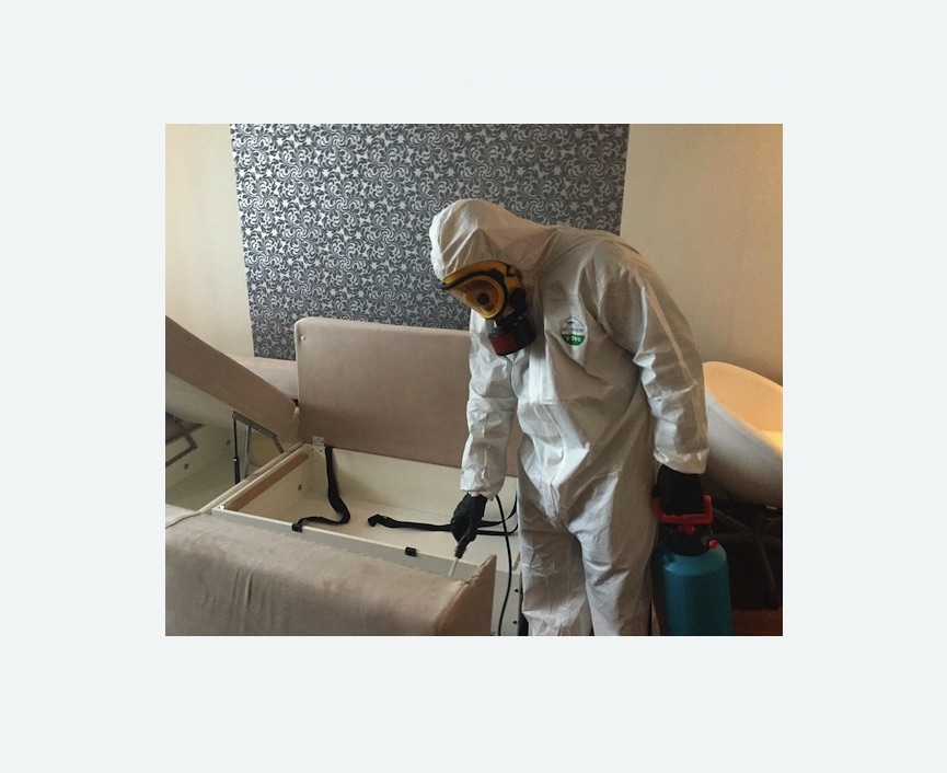 уничтожение клопов в квартире в Мураново