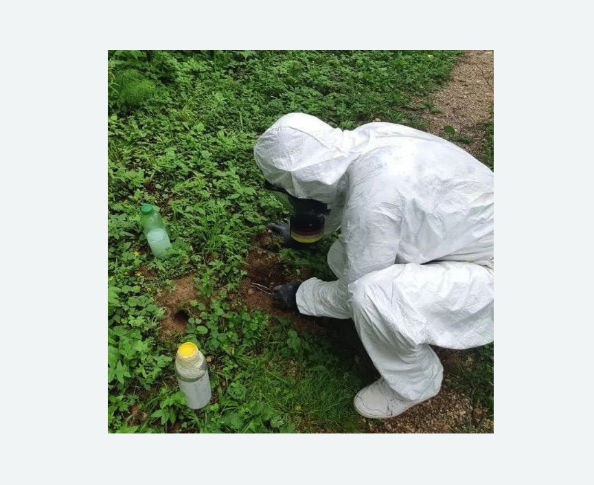 уничтожение кротов на участке в Мураново