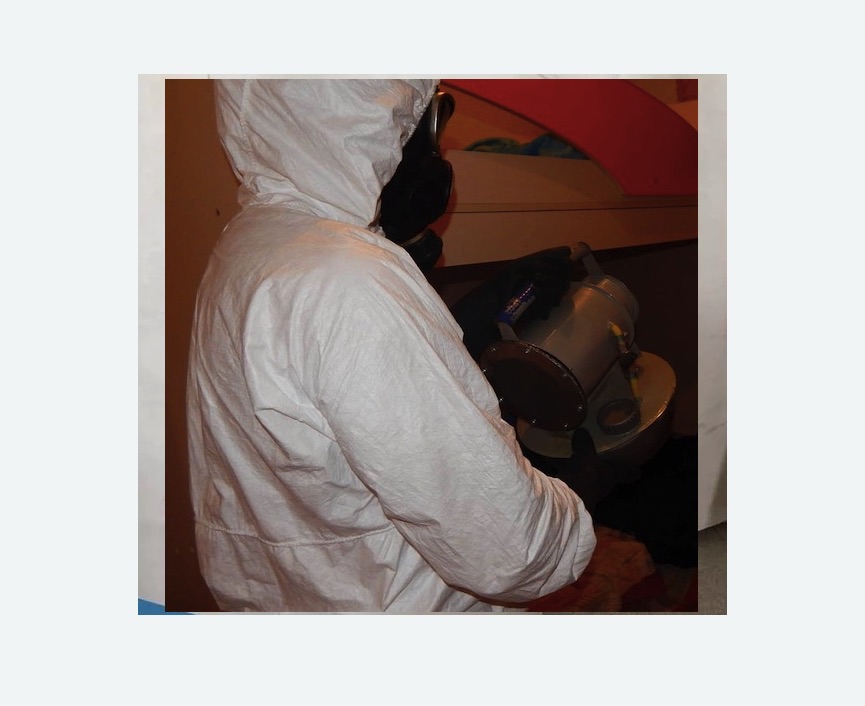 Дезинфекция от муравьев в Мураново