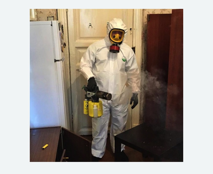 уничтожение муравьев в квартире в Мураново